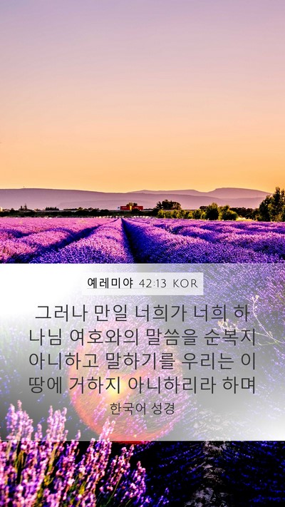 예레미야 42:13 KOR Bible Verse Image
