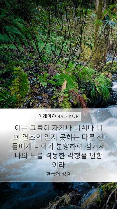 예레미야 44:3 KOR Bible Verse Image
