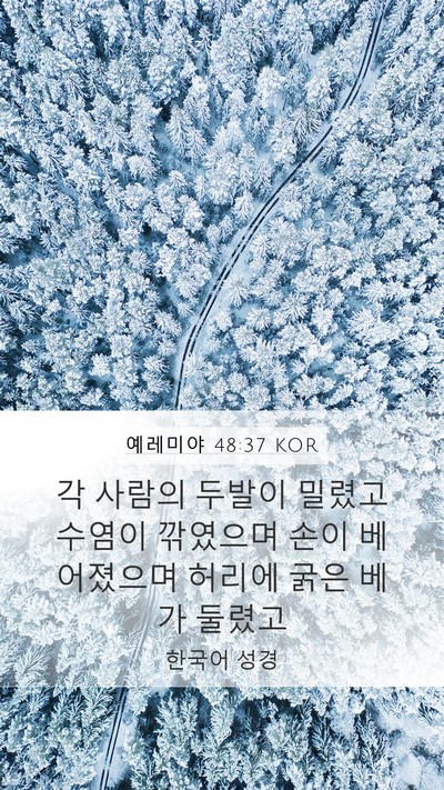 예레미야 48:37 KOR Bible Verse Image