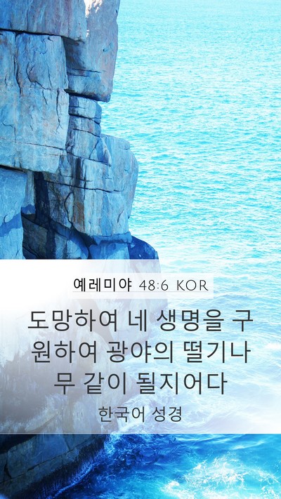 예레미야 48:6 KOR Mobile Phone Wallpaper - 도망하여 네 생명을 구원하여 광야의 - Mobile Bible Verse Wallpaper
