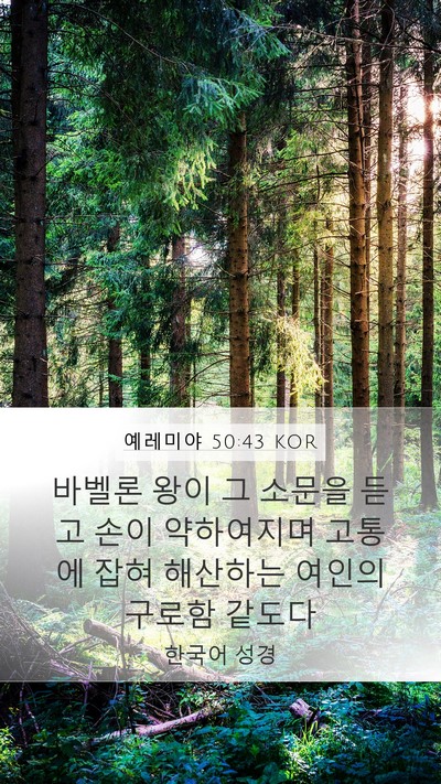예레미야 50:43 KOR Bible Verse Image