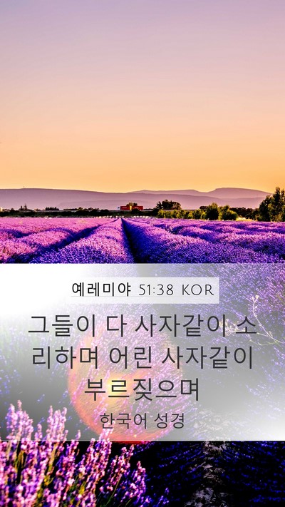 예레미야 51:38 KOR Bible Verse Image