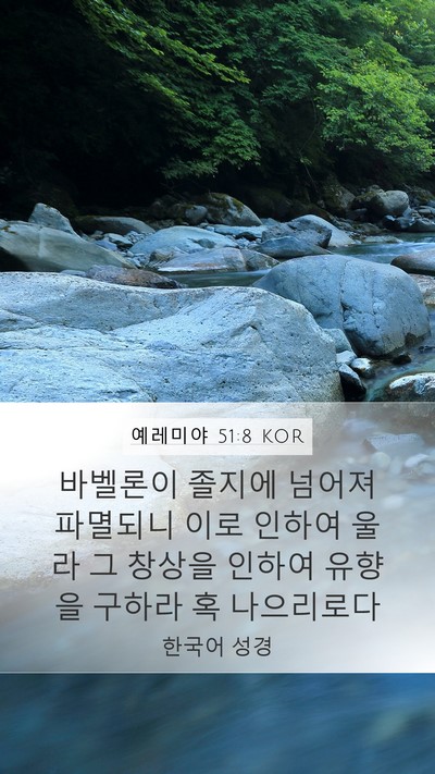 예레미야 51:8 KOR Bible Verse Image