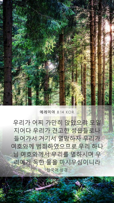 예레미야 8:14 KOR Bible Verse Image