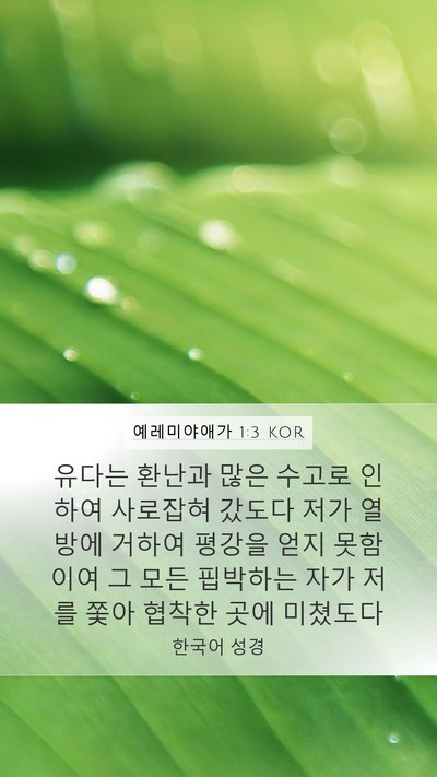예레미야애가 1:3 KOR Bible Verse Image