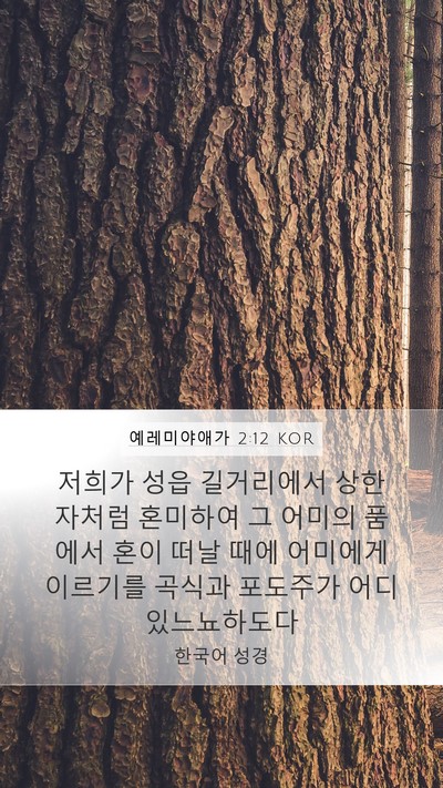 예레미야애가 2:12 KOR Bible Verse Image