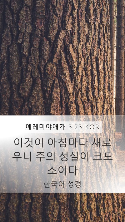 예레미야애가 3:23 KOR Bible Verse Image