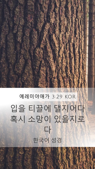예레미야애가 3:29 KOR Bible Verse Image