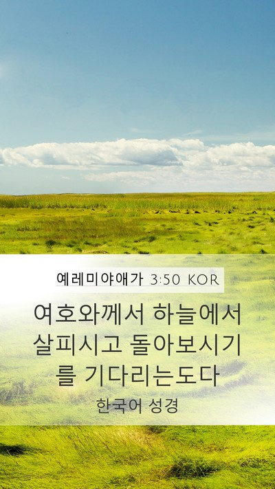 예레미야애가 3:50 KOR Bible Verse Image