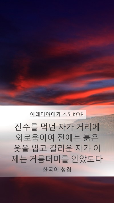 예레미야애가 4:5 KOR Bible Verse Image