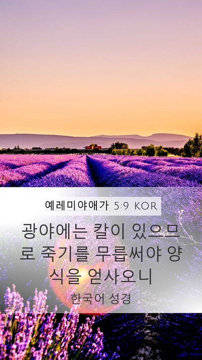 예레미야애가 5:9 KOR Bible Verse Image
