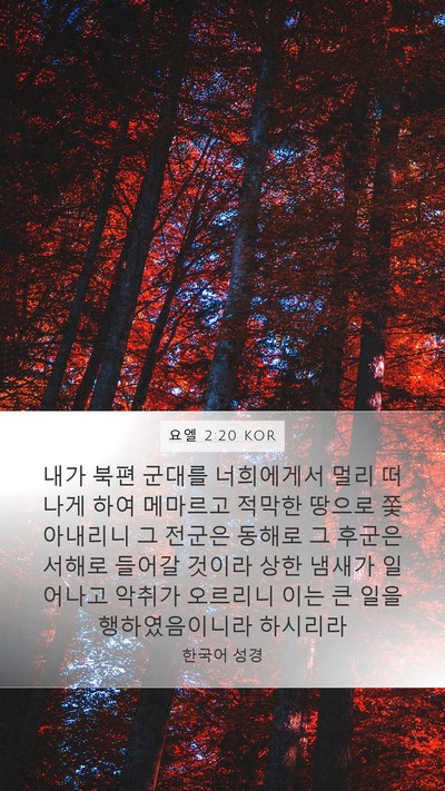 요엘 2:20 KOR Mobile Phone Wallpaper - 내가 북편 군대를 너희에게서 멀리 - Mobile Bible Verse Wallpaper