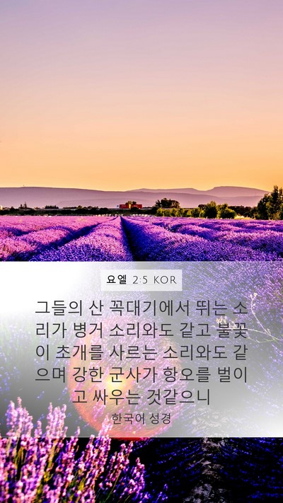 요엘 2:5 KOR Bible Verse Image