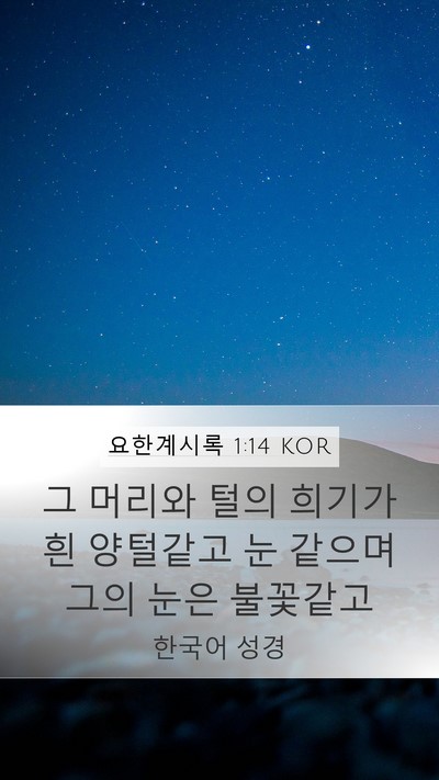 요한계시록 1:14 KOR Bible Verse Image