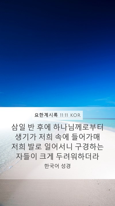 요한계시록 11:11 KOR Bible Verse Image
