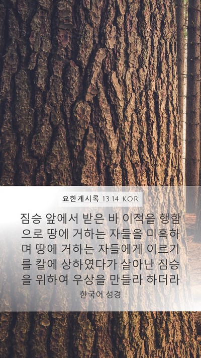 요한계시록 13:14 KOR Bible Verse Image
