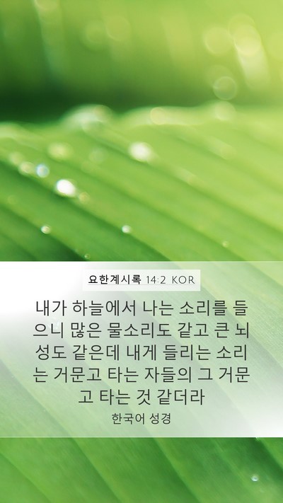 요한계시록 14:2 KOR Bible Verse Image