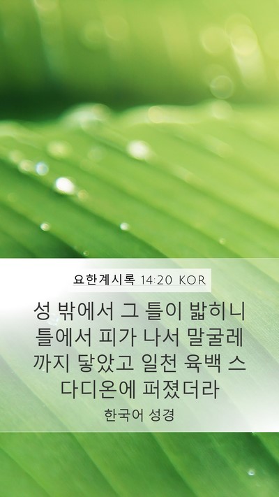요한계시록 14:20 KOR Bible Verse Image