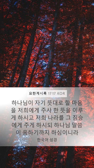 요한계시록 17:17 KOR Bible Verse Image