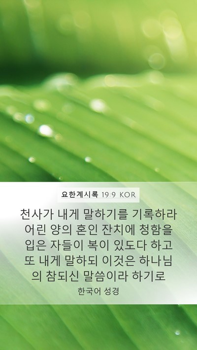 요한계시록 19:9 KOR Bible Verse Image