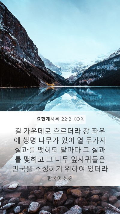 요한계시록 22:2 KOR Bible Verse Image