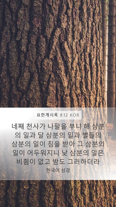 요한계시록 8:12 KOR Bible Verse Image