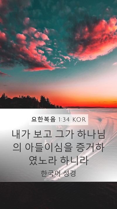 요한복음 1:34 KOR Bible Verse Image