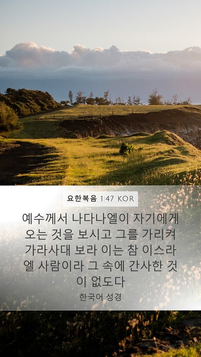 요한복음 1:47 KOR Bible Verse Image