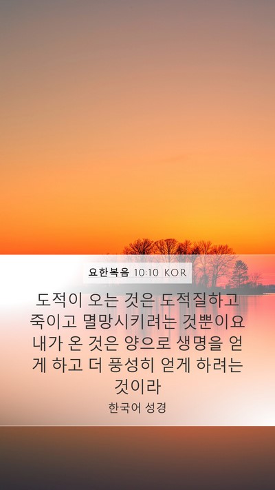 요한복음 10:10 KOR Bible Verse Image