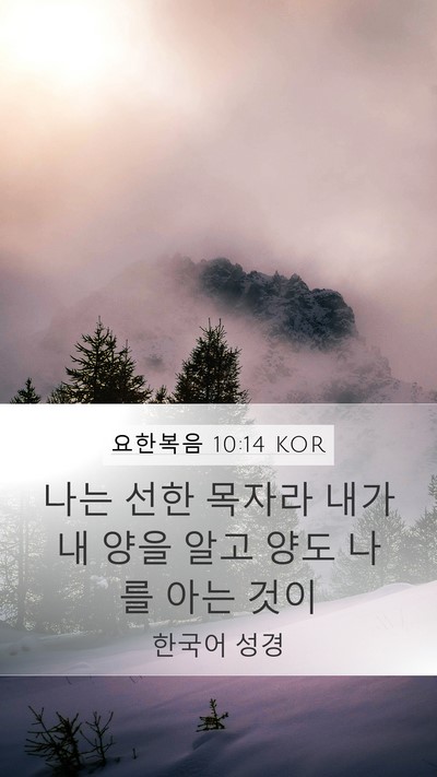 요한복음 10:14 KOR Bible Verse Image