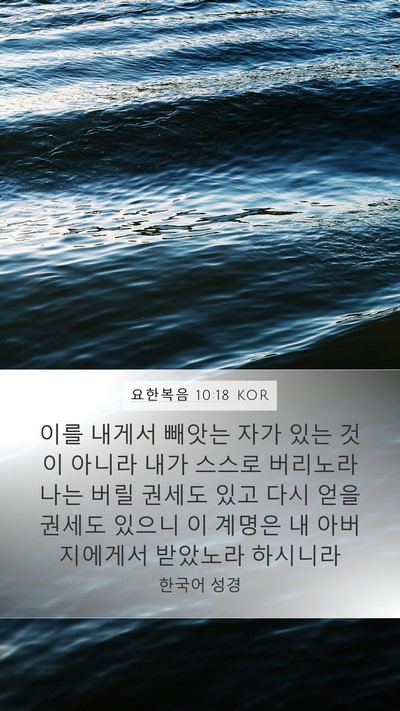 요한복음 10:18 KOR Bible Verse Image