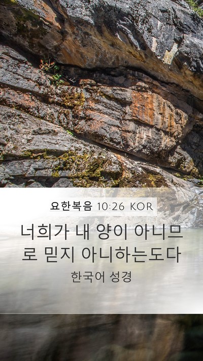 요한복음 10:26 KOR Bible Verse Image