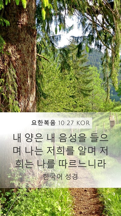 요한복음 10:27 KOR Bible Verse Image
