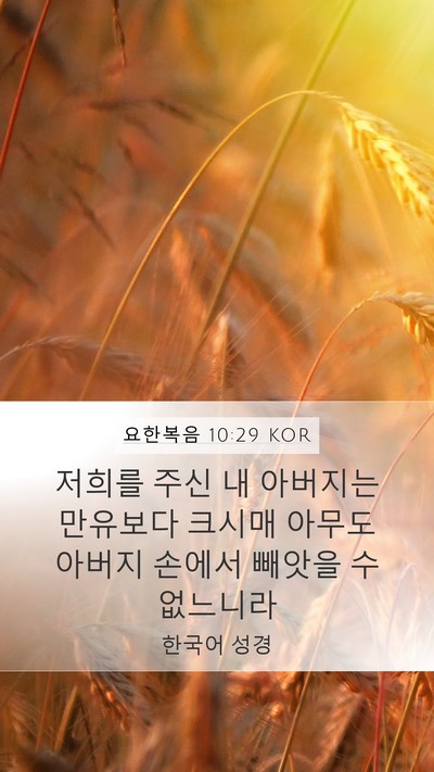 요한복음 10:29 KOR Bible Verse Image