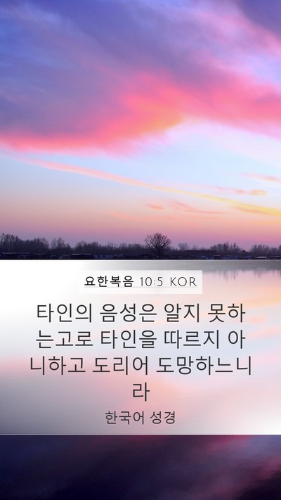 요한복음 10:5 KOR Mobile Phone Wallpaper - 타인의 음성은 알지 못하는고로 - Mobile Bible Verse Wallpaper