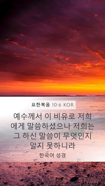 요한복음 10:6 KOR Bible Verse Image
