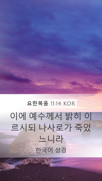요한복음 11:14 KOR Bible Verse Image