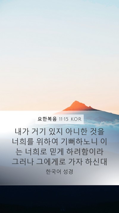 요한복음 11:15 KOR Bible Verse Image