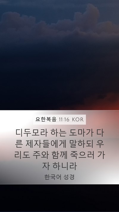 요한복음 11:16 KOR Bible Verse Image