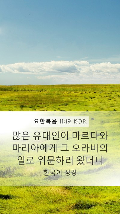요한복음 11:19 KOR Bible Verse Image