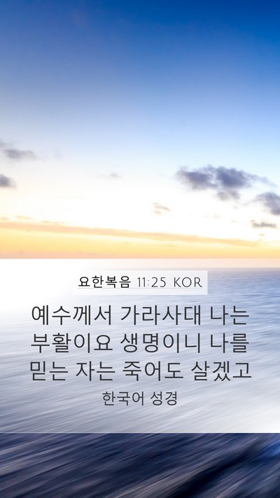 요한복음 11:25 KOR Bible Verse Image