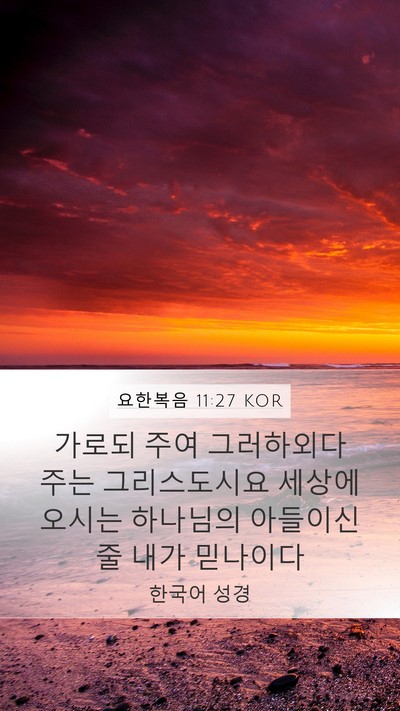 요한복음 11:27 KOR Bible Verse Image