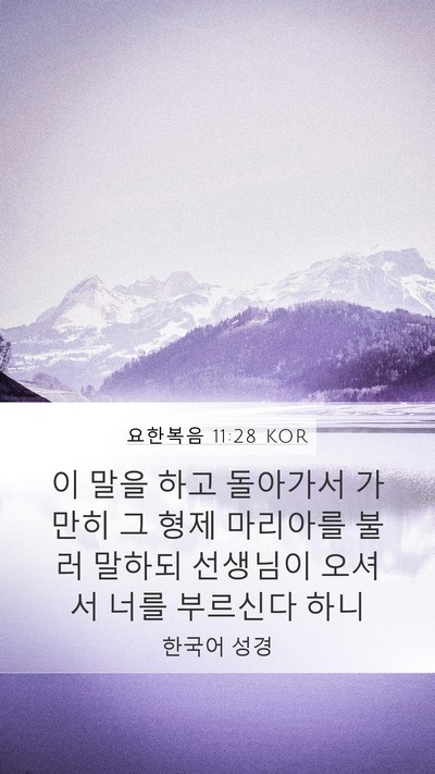요한복음 11:28 KOR Bible Verse Image