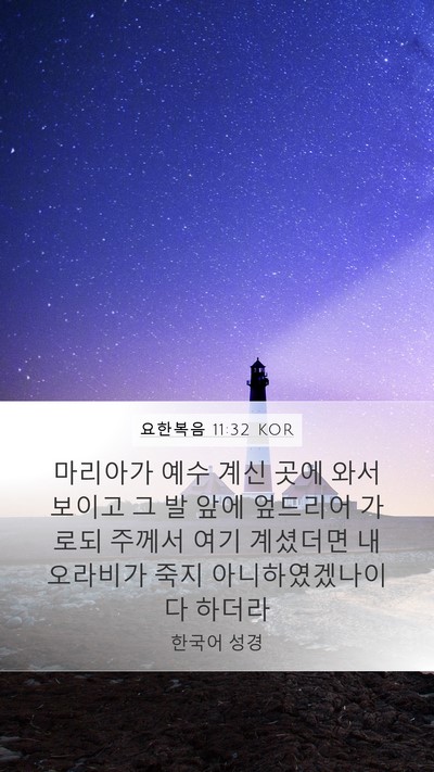 요한복음 11:32 KOR Bible Verse Image