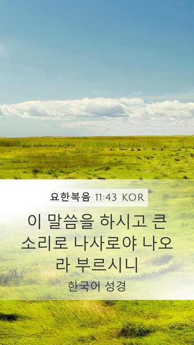 요한복음 11:43 KOR Bible Verse Image
