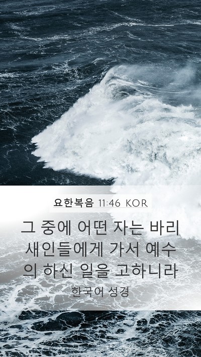 요한복음 11:46 KOR Bible Verse Image