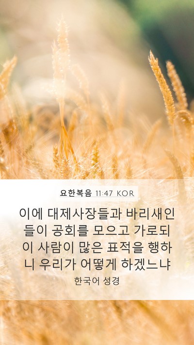 요한복음 11:47 KOR Bible Verse Image