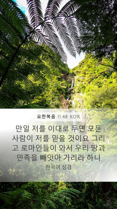 요한복음 11:48 KOR Bible Verse Image