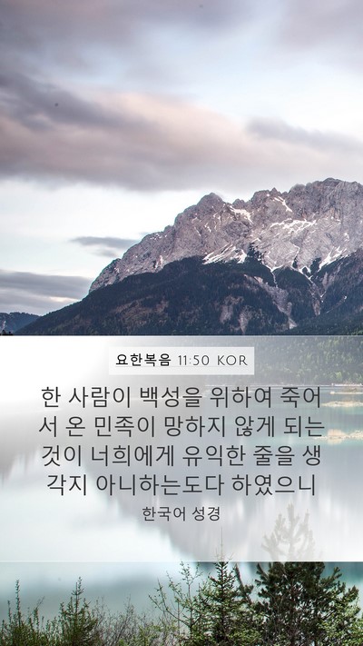 요한복음 11:50 KOR Bible Verse Image
