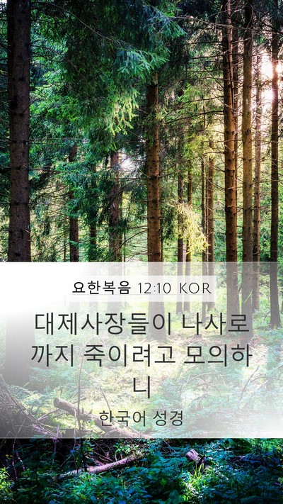 요한복음 12:10 KOR Bible Verse Image